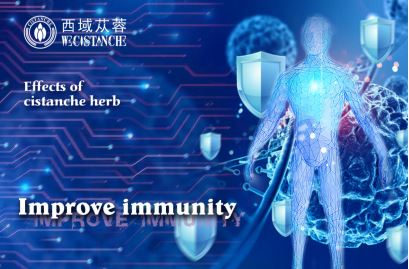 cistanche benefits