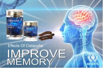 cistanche supplement