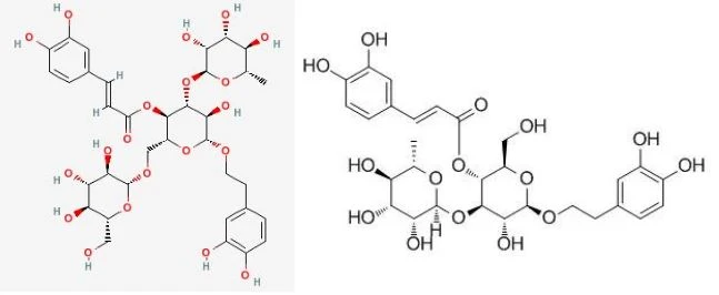 Echinacoside(C35H46O20)and Verbascoside(C29H36O15)