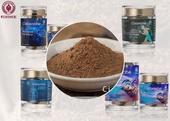 Cistanche extract and Cistanche supplements Cistanche extract and Cistanche supplements