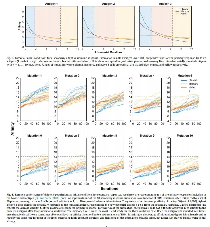 Example performance of different populations as initial conditions for secondary responses