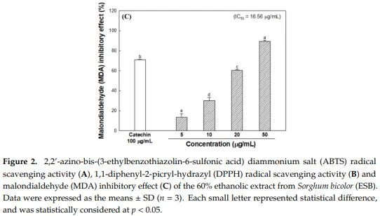 Figure 2. 2,2'-azino-bis-(3-ethylbenzothiazolin-6-sulfonic acid) diammonium salt (ABTS) radical scavenging activity (A), 1,1-diphenyl-2-picryl-hydrazyl (DPPH) radical scavenging activity (B) and malondialdehyde (MDA) inhibitory effect (C) of the 60% ethanolic extract from Sorghum bicolor (ESB).