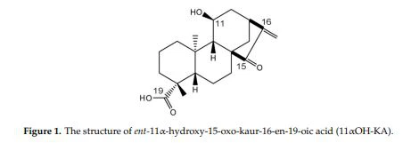 Figure 1. The structure of ent-11α-hydroxy-15-oxo-kaur-16-en-19-oic acid (11αOH-KA).