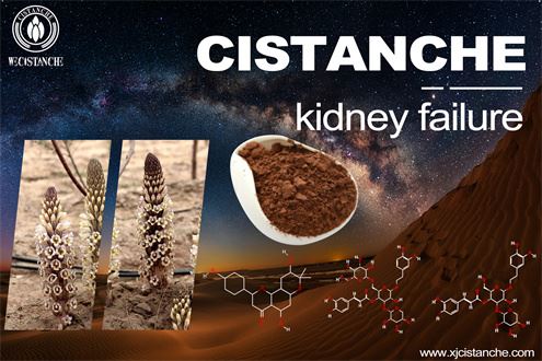 Treatment of chronic kidney disease Treatment of chronic kidney disease