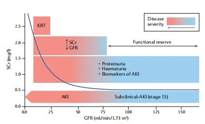 Fig. 2 | Different stages of CoVID-19-associated acute kidney injury. Fig. 2 | Different stages of CoVID-19-associated acute kidney injury.