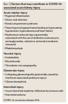Box 1 | Factors that may contribute to CoVID-19- associated acute kidney injury Box 1 | Factors that may contribute to CoVID-19- associated acute kidney injury
