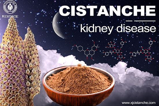 to relieve kidney injury and improve kidney function to relieve kidney injury and improve kidney function