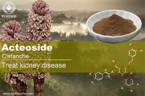 Cistanche phenylethanoid glycoside