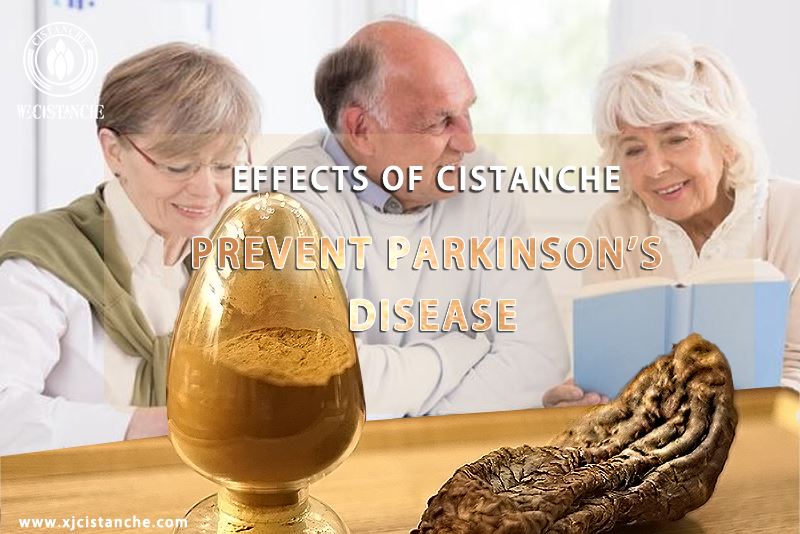 how to prevent parkinson's disease how to prevent parkinson's disease