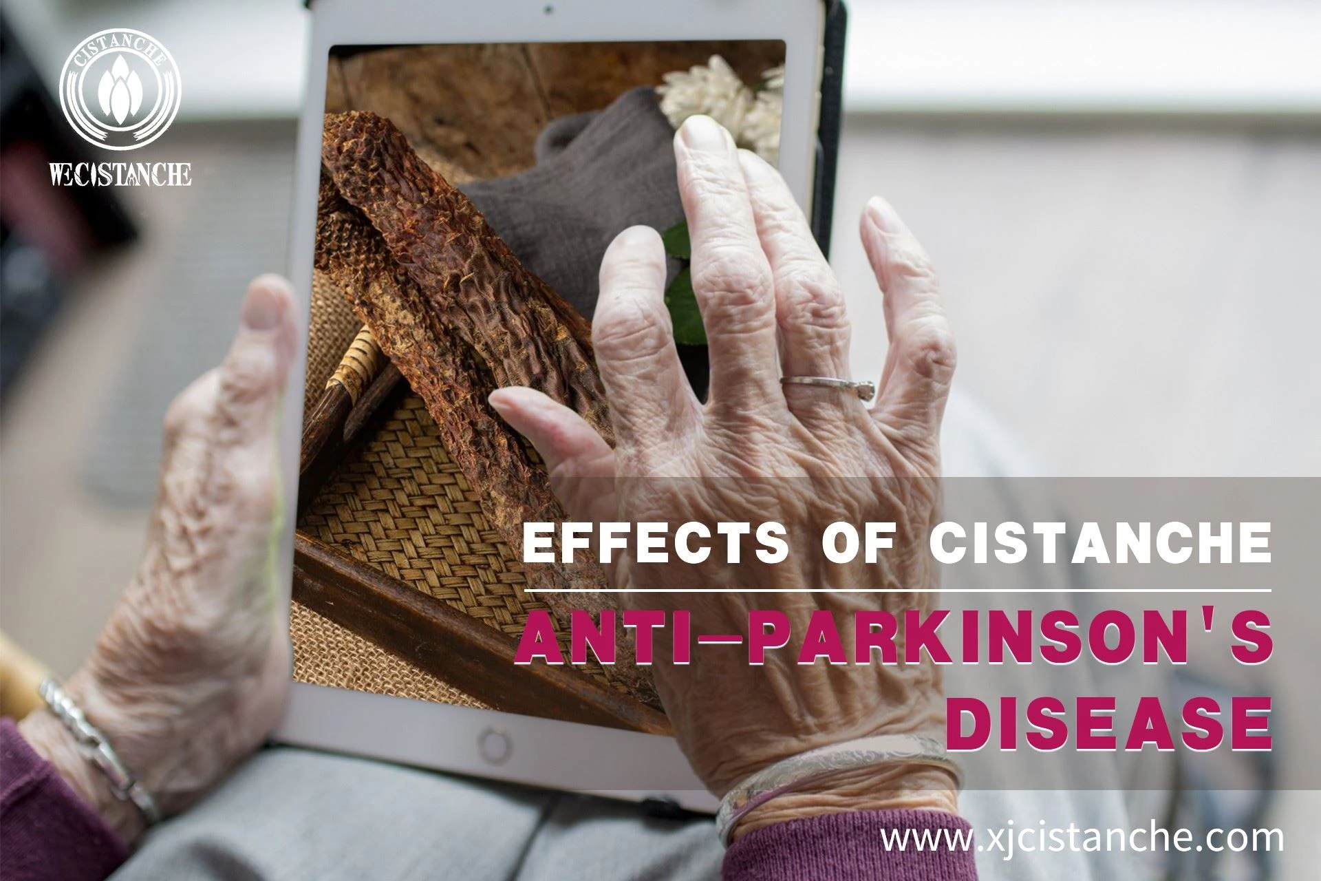 cistanche could prevent parkinson's disease cistanche could prevent parkinson's disease