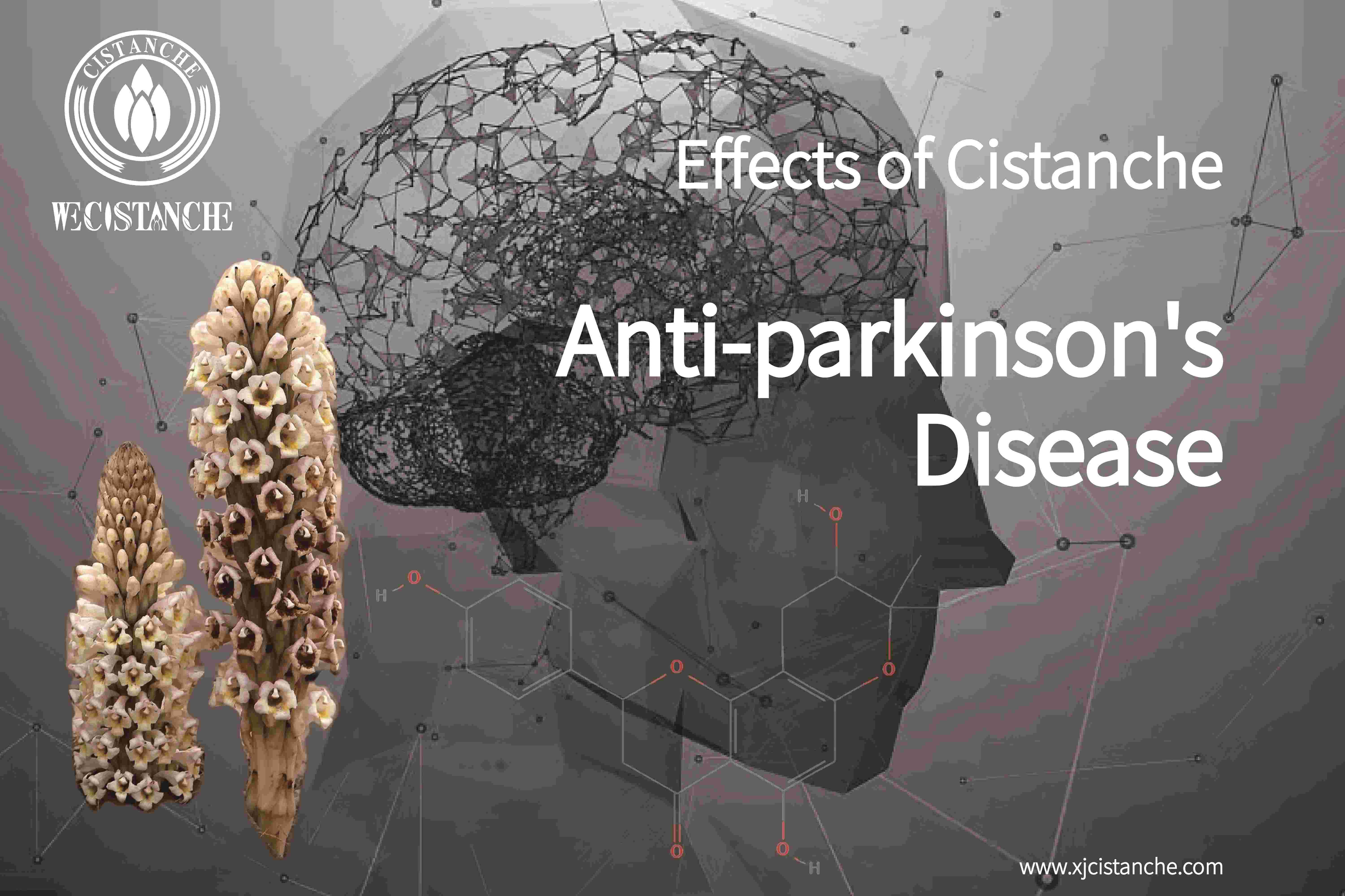 the way to prevent parkinson's disease