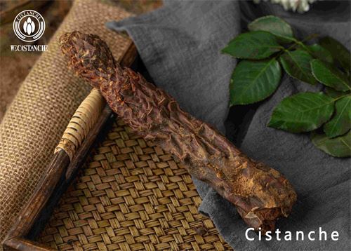 Cistanche is a valuable Chinese herbal medicine that can be used in many fields