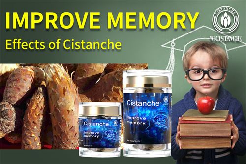 cistanche effects on Learning And Memory Ability