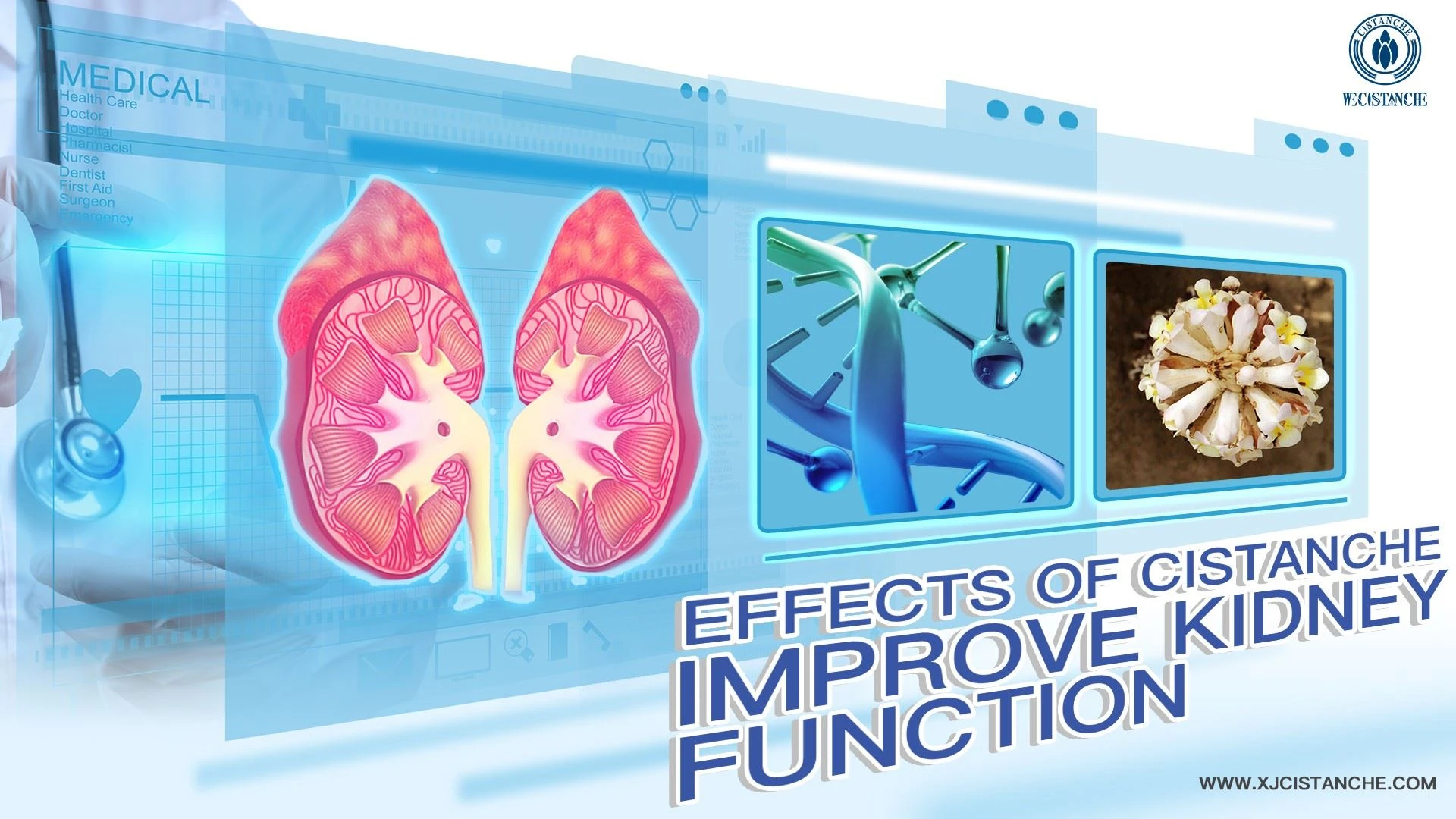 treatment of acute kidney injury treatment of acute kidney injury