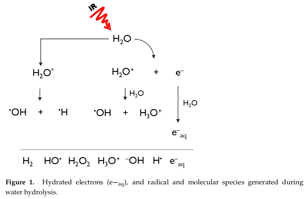 Hydrated electrons (e−aq), and radical and molecular species generated during water hydrolysis