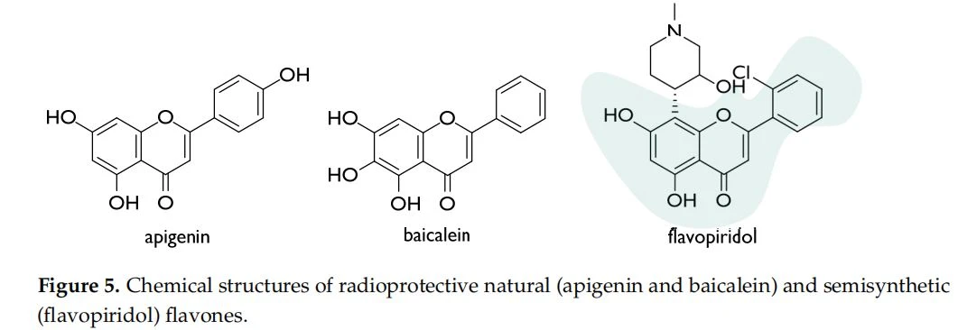 Chemical structures of radioprotective natural (apigenin and baicalein) and  semisynthetic (flavopiridol) flavones.  Naringin, a flavanone-7-O-glycoside from Citrus species, also showed inhibitory  effect towards IR-induced inflammation. The NF-κB suppression defined the alteration of  pro-inflammatory factors. Moreover, naringin reinforced the intracellular defense  mechanisms, through the preservation of endogenous antioxidants [41]. The oxidative  stress inhibitory activity was also linked to the release of inflammatory cytokines by  inducing Nrf2 activation, a common feature of other flavonoid compounds, such as  naringenin and epigallocatechin-3-O-gallate (Figure 6) [42]. Moreover, regarding flavone  compounds, baicalein (5,6,7-trihydroxyflavone), originally isolated from the dried roots  of Scutellaria baicalensis and Scutellaria lateriflora, elicited pleiotropic activity that allowed  Figure 5. Chemical structures of radioprotective natural (apigenin and baicalein) and semisynthetic (flavopiridol) flavones.