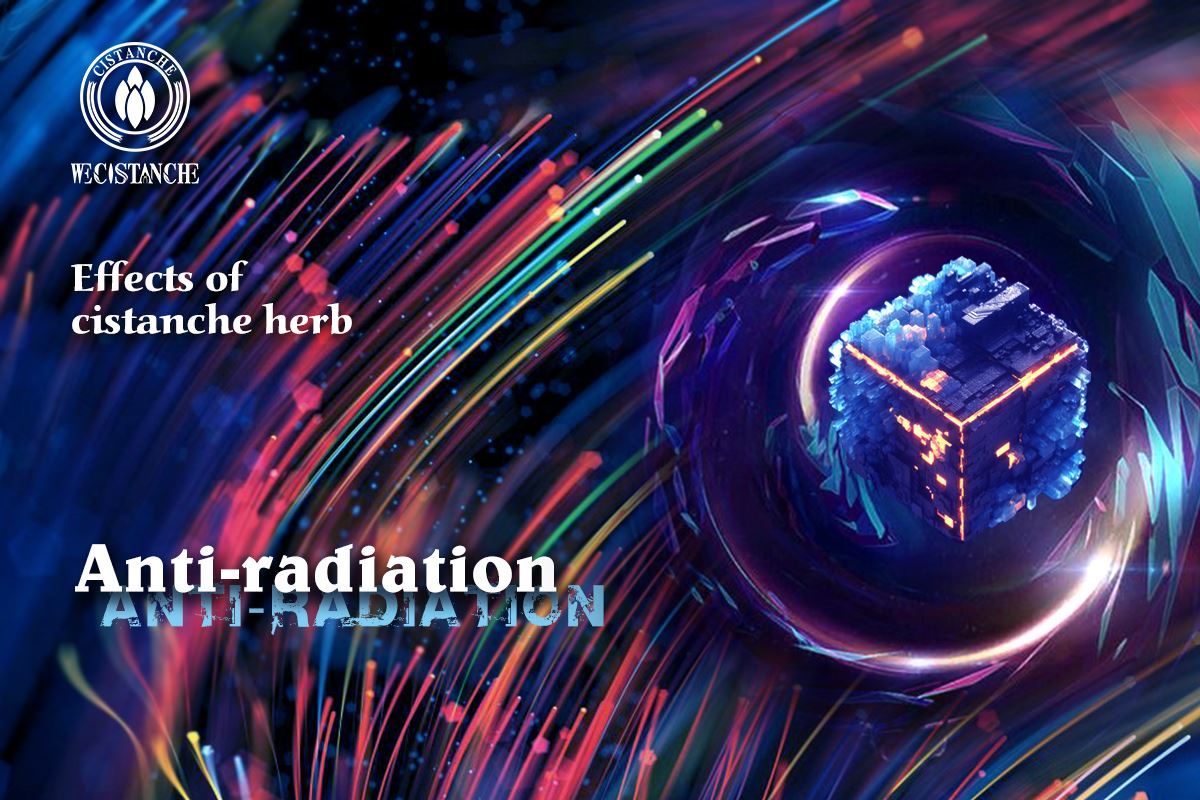 Effects on anti-radiation of cistanche