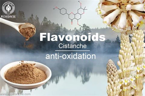 cistanche benefit: anti-oxidation
