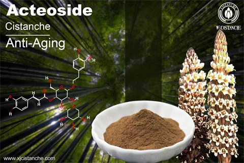 effects of cistanche extract: anti-aging and whitening skin