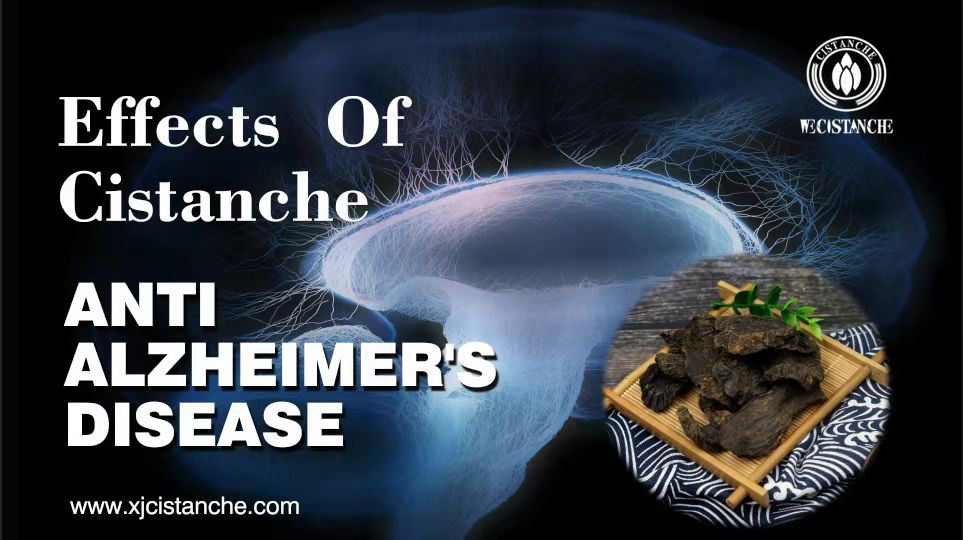 how to prevent alzheimer's disease how to prevent alzheimer's disease