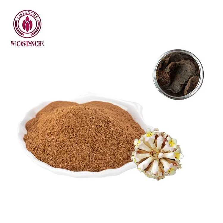 Best herbal for AVN