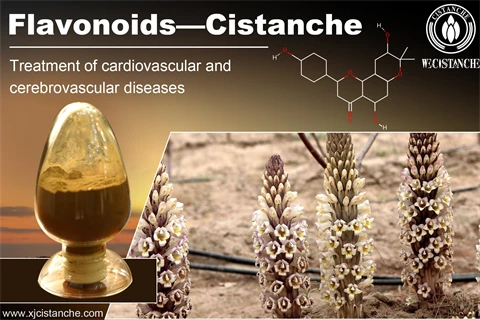 bioflavonoids cardiovascular cerebrovasular bioflavonoids cardiovascular cerebrovasular