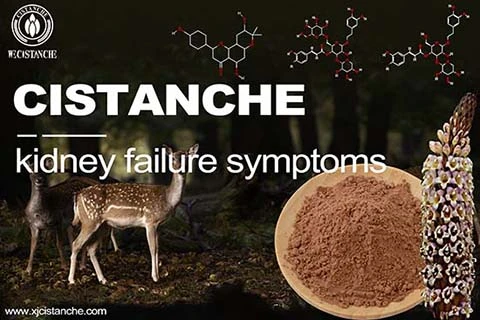 Best Chinese Medicinal Herbs for Lower High Pressure Best Chinese Medicinal Herbs for Lower High Pressure