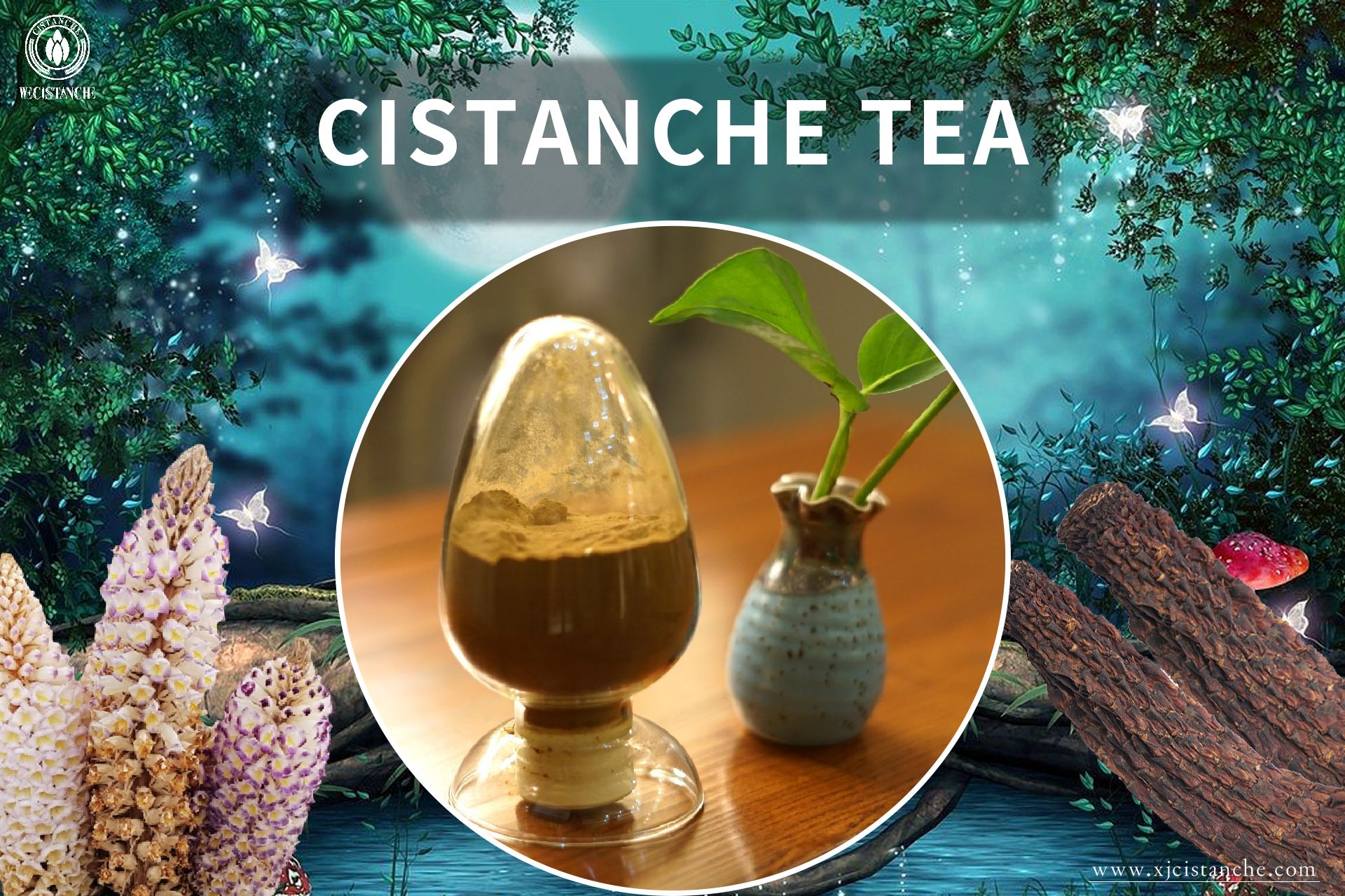 Cistanche usage Cistanche usage
