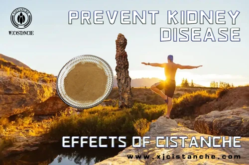 natural herb for ckd