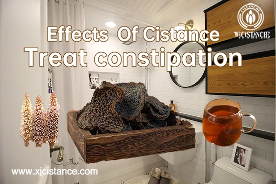 What does cistanche do for the body What does cistanche do for the body