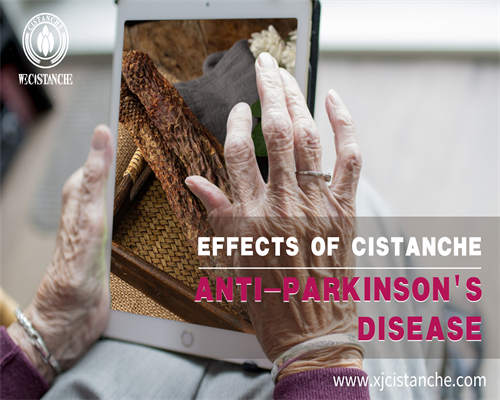 desert cistanche benefits
