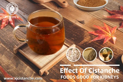 tuberous Cistanche supplements tuberous Cistanche supplements