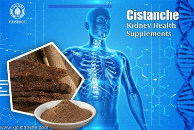 cistanche in urdu cistanche in urdu