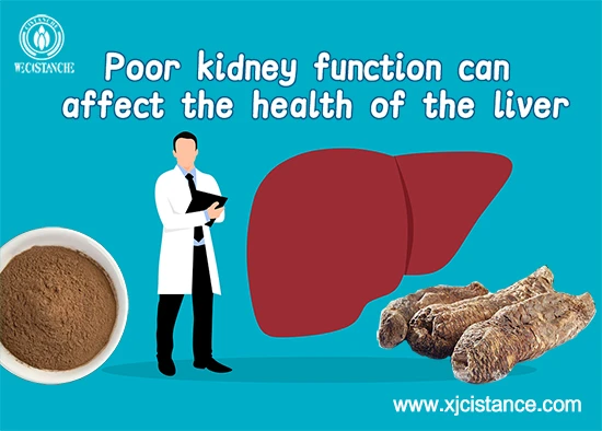 Poor renal function can affect liver health Poor renal function can affect liver health