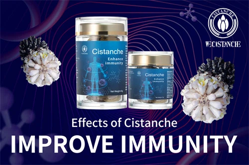 cistanche dosagem cistanche dosagem