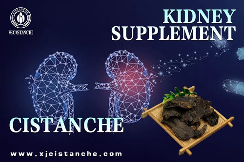 cistanche tubulosa side effects cistanche tubulosa side effects