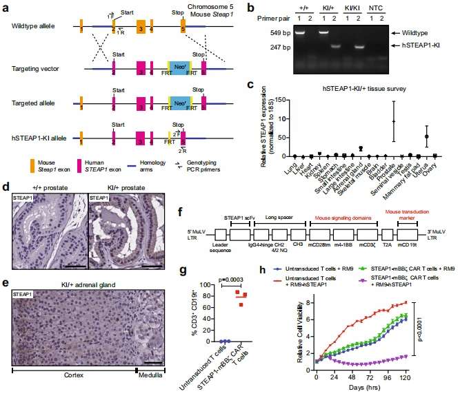 Fig. 4 Fig. 4