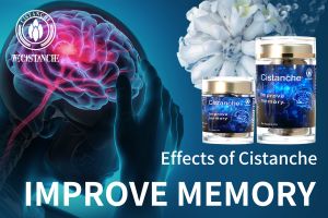 improving brain function improving brain function