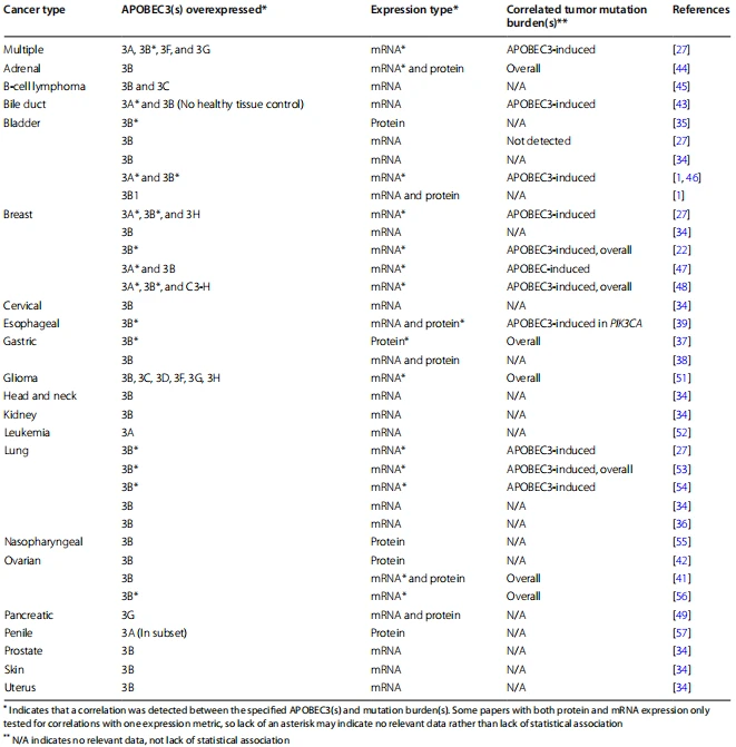 Table 1 Overexpression and correlation of APOBEC3s with mutation burden across cancers Table 1 Overexpression and correlation of APOBEC3s with mutation burden across cancers