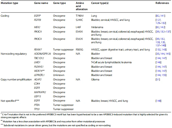 Table 3 Recurrent APOBEC3-induced somatic mutations and copy number alterations in cancer Table 3 Recurrent APOBEC3-induced somatic mutations and copy number alterations in cancer