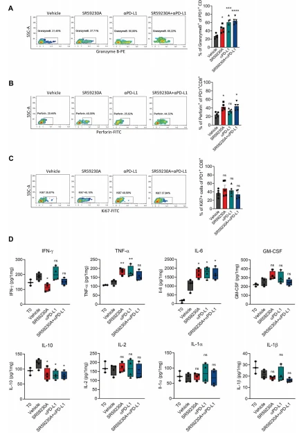 Fig. 4 β3-AR blockade triggers CD8 functions and regulates immune cytokines secretion in TME.