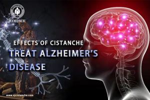improve memory improve memory
