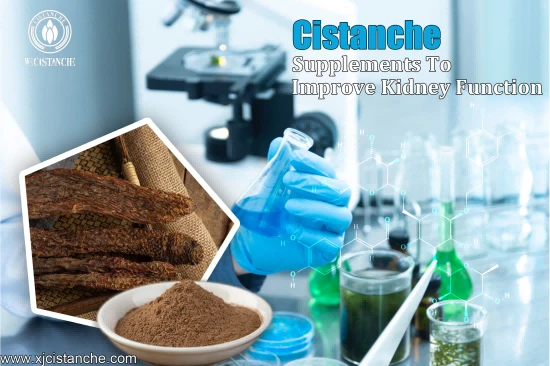 CISTANCHE EXTRACT WITH 25% ECHINACOSIDE AND 9% ACTEOSIDE