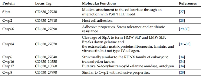 Table 1. Putative functions of the 29 cup genes found in the Clostridium difficile 630 genomes.
