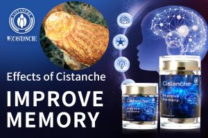 ways to improve memory ways to improve memory