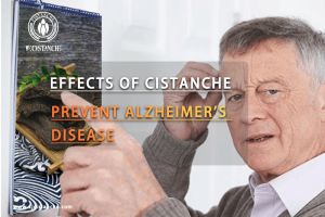 supplements to improve memory supplements to improve memory