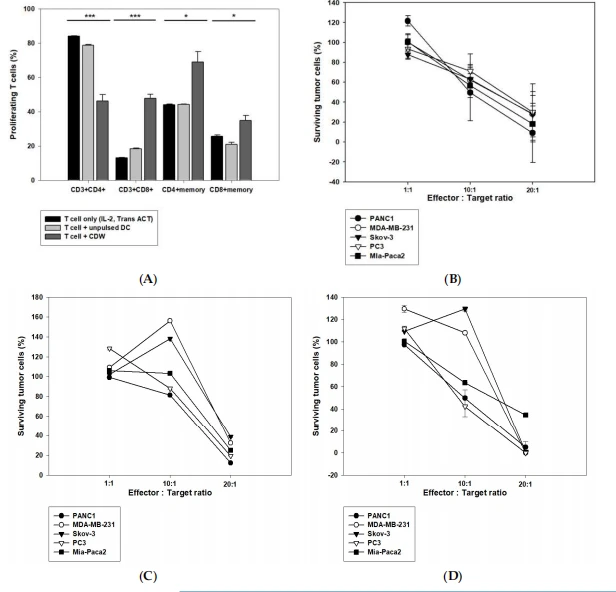 Figure 5. CDW increases CD8+ T cells to promote cytotoxicity against cancer cells. Effect of CDW on T cell response assessed via CTL. IL-2 and Trans-Act are T cell stimulators and were used to stimulate T cells. The activated T cells were co-cultured with DC for the first induction, which lasts for seven days, and the second induction which extends to 10 days. The changes in the T cell subtype were analyzed via flow cytometry (A). The T cells cultured for 10–14 days were co-cultured with cancer cells expressing WT1 according to appropriate ratios in a 96-well plate. Post-72 h, the survival rate of cancer cells was analyzed using CCK8 (B–D). T cells induced by CDW group (B). T cell only group (activated IL-2 and Trans ACT) (C). T cells induced by unpulsed DC group (D). * p < 0.05, *** p < 0.001.