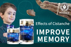 improve your memory improve your memory