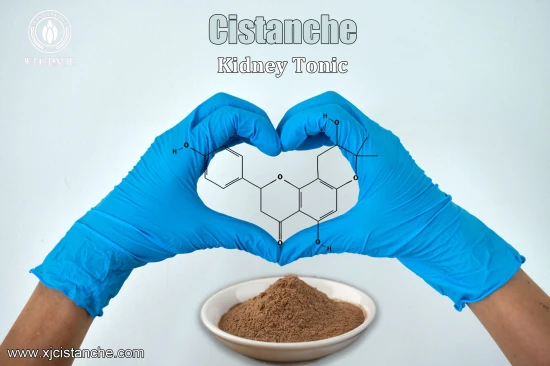 CISTANCHE Benefits FOR KIDNEY DISEASE CISTANCHE Benefits FOR KIDNEY DISEASE