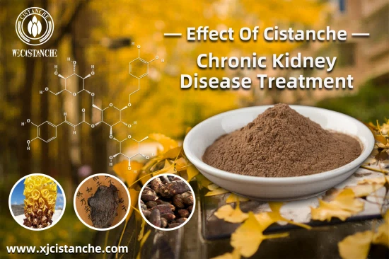 cistanche benefits for kidney cistanche benefits for kidney